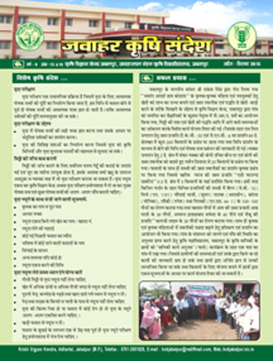 Newsletter-January-March 2009